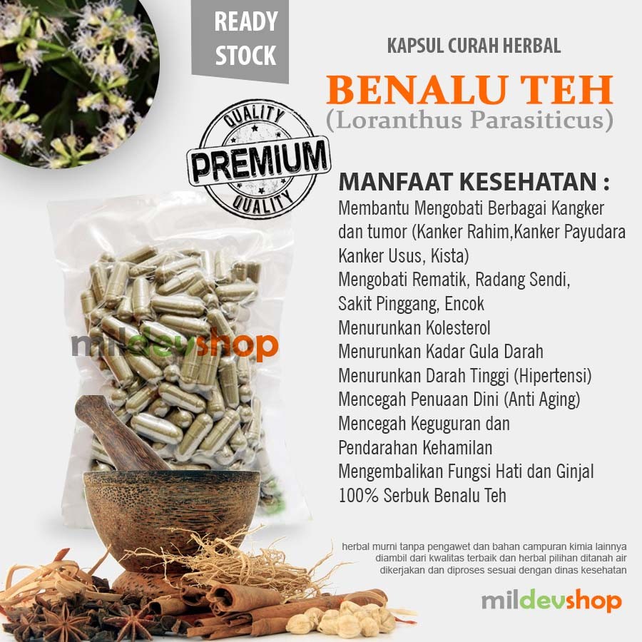 Jual Benalu Teh Kapsul Herbal Tumor Antiaging Hati Ginjal Kanker