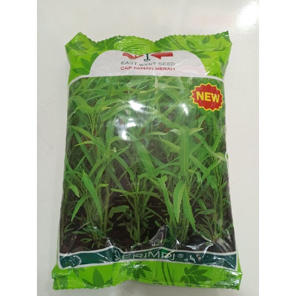 Jual Benih Kangkung Serimpi 1 Kg Shopee Indonesia