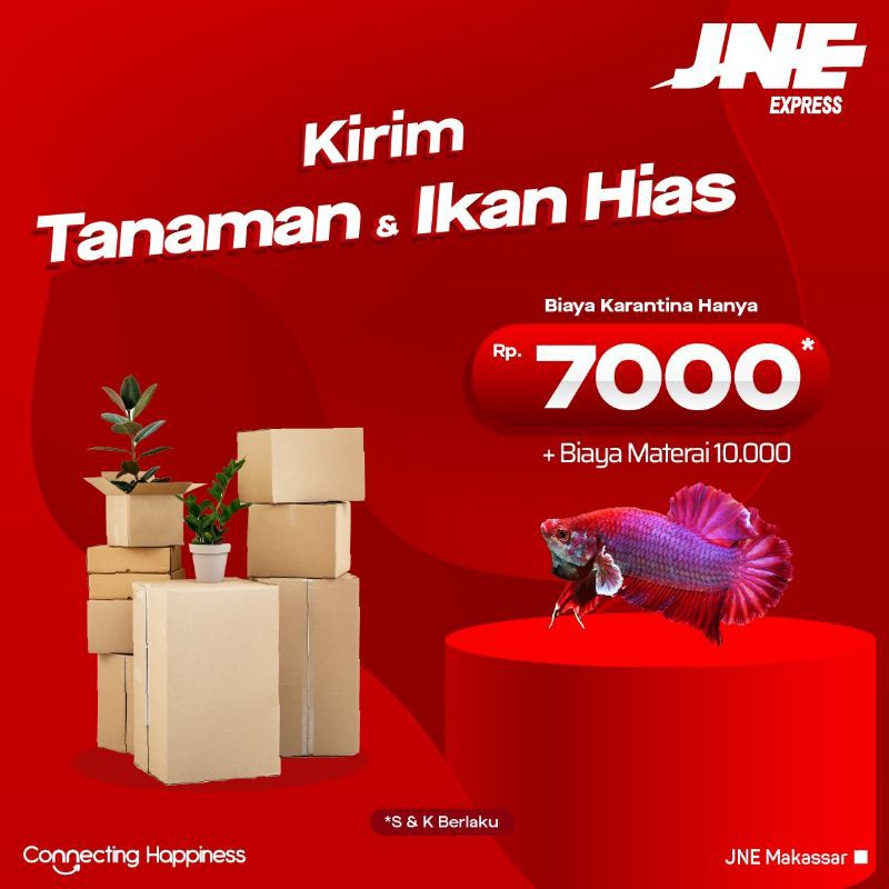 Jual Biaya Karantina JNe Pengiriman Luar Sulselbar Shopee Indonesia