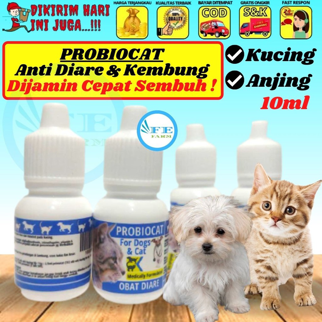 Jual Obat Kucing Mencret Diare Gangguan Pencernaan Priobiocat Obat