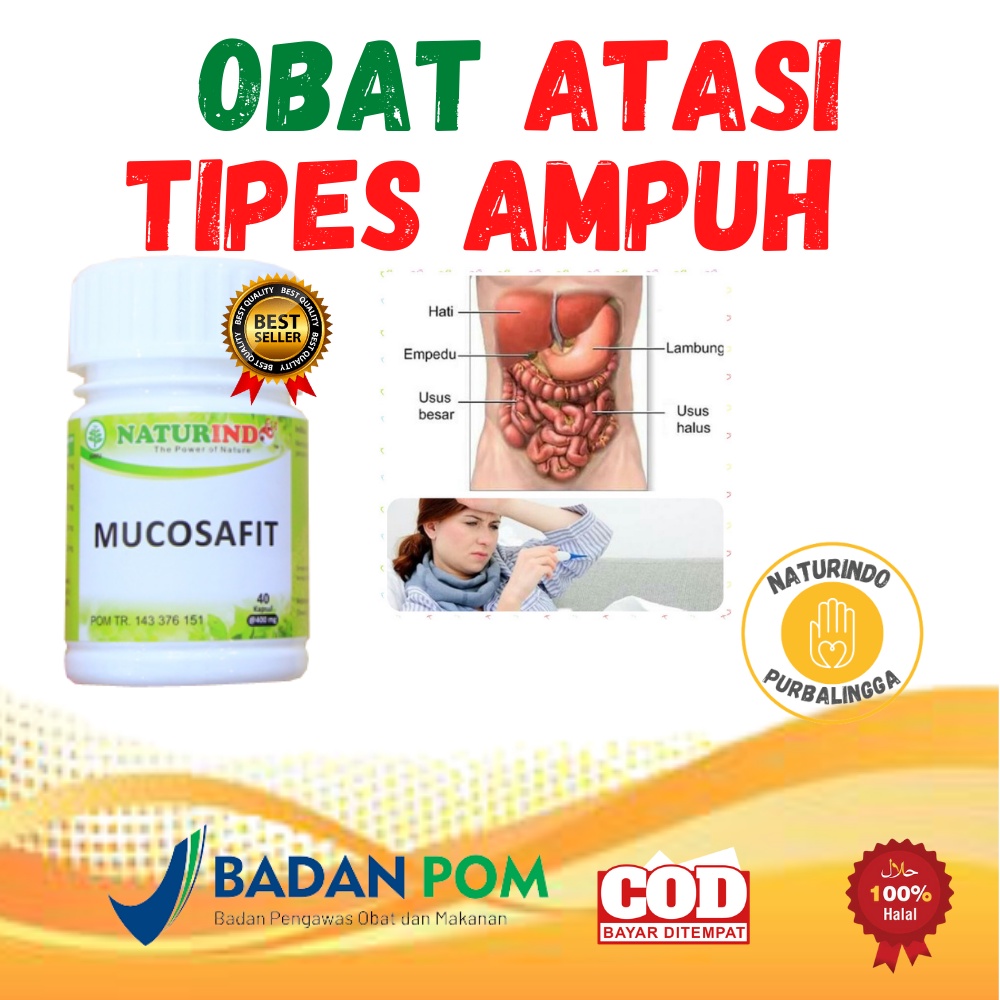 Jual Obat Atasi Penyakit Tipes Demam Tinggi Keringat Berlebih Diaer