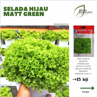 Jual B Benih Selada Lettuce Hijau Matt Green Biji Repack Cap