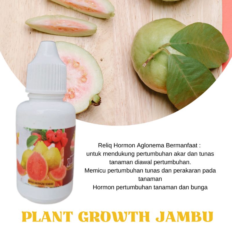 Jual Pupuk Untuk Buah Jambu Kristal Plant Growth Jambu Baik Untuk