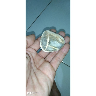 Jual BAHAN BATU TAPAK JALAK BUKAN COMBONG PUSER BUMI Shopee Indonesia