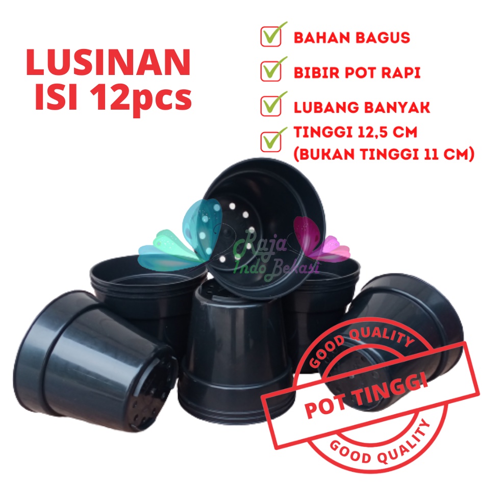 Jual Lusinan Pcs Pot Tinggi Srondol Hitam Pot Tinggi Usa Eiffel