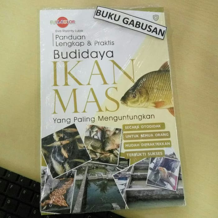 Budidaya Ikan Mas Lengkap Infoakuakultur