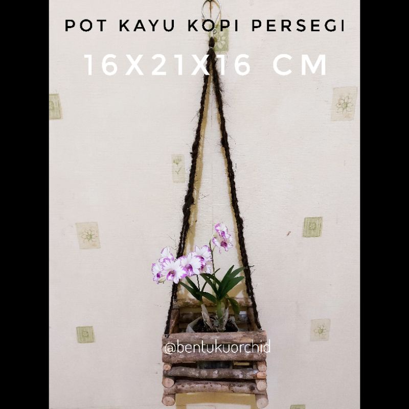 Jual Pot Gantung Kayu Kopi Ukuran Persegi Pot Anggrek Pot Tanaman Pot