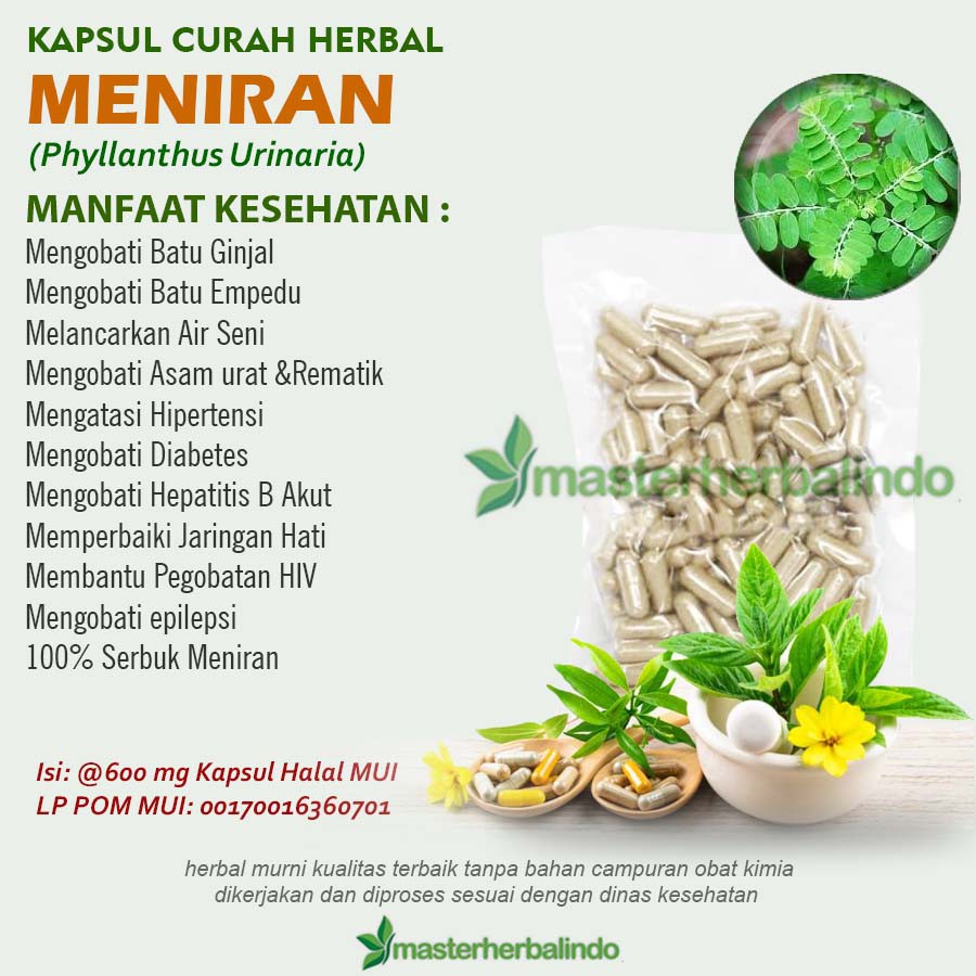 Jual Meniran Kapsul Herbal Batu Ginjal Empedu Peluruh Kencing