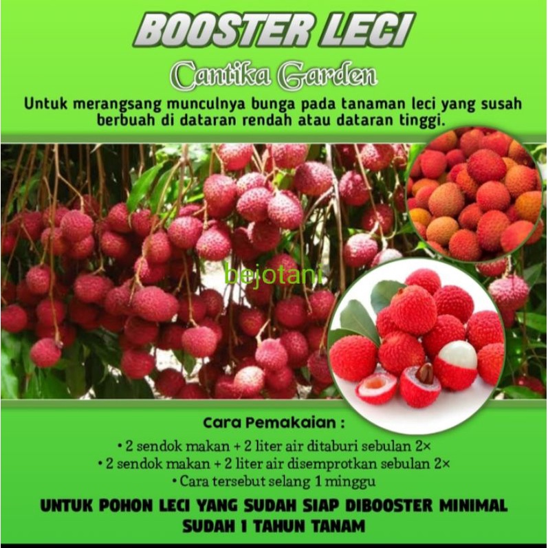 Jual Pupuk Booster Perangsang Dan Pelebat Semua Tanaman Buah Shopee