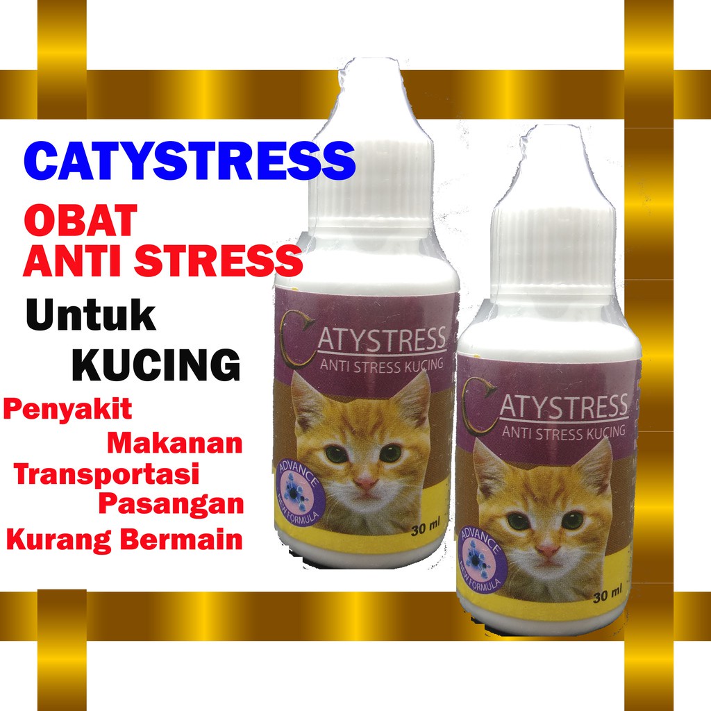 Jual Catystress Ml Tamasindo Obat Anti Stress Kucing Tidak Mau Makan