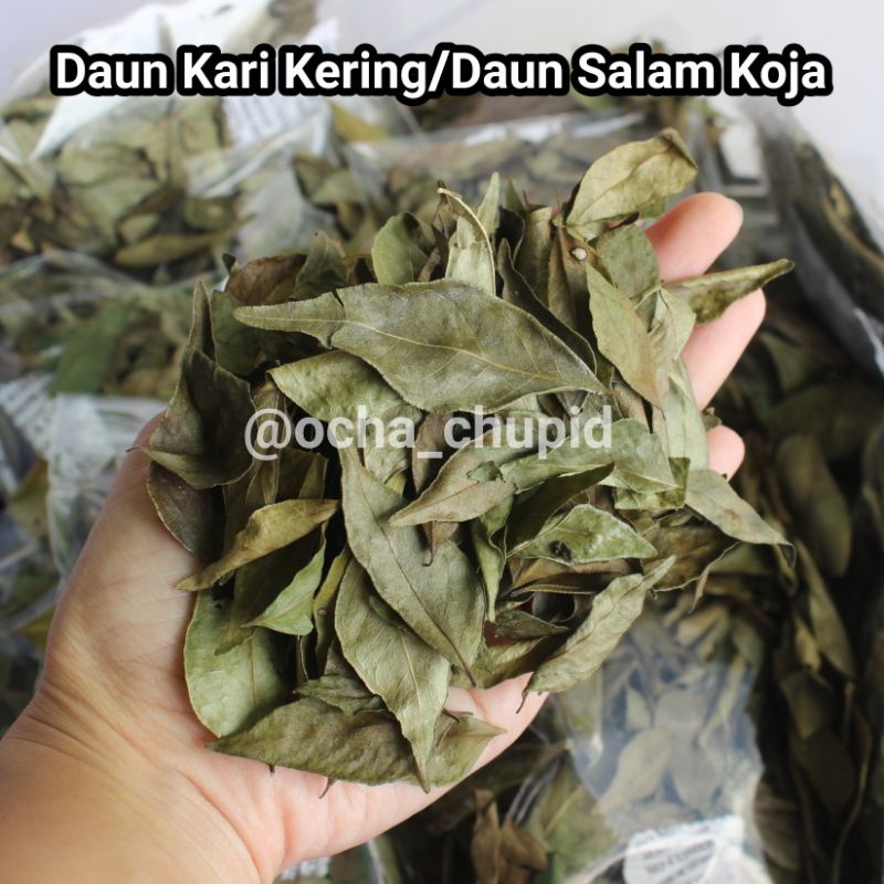 Jual Daun Kari Kering Salam Koja Shopee Indonesia