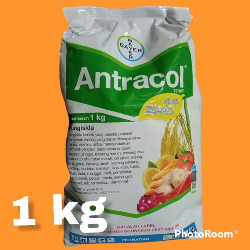 Jual Antracol 1 Kg Fungisida Plus Zinc Obat Jamur Patek Antraknosa