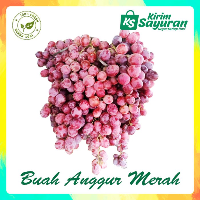 Jual Buah Anggur Merah Shopee Indonesia