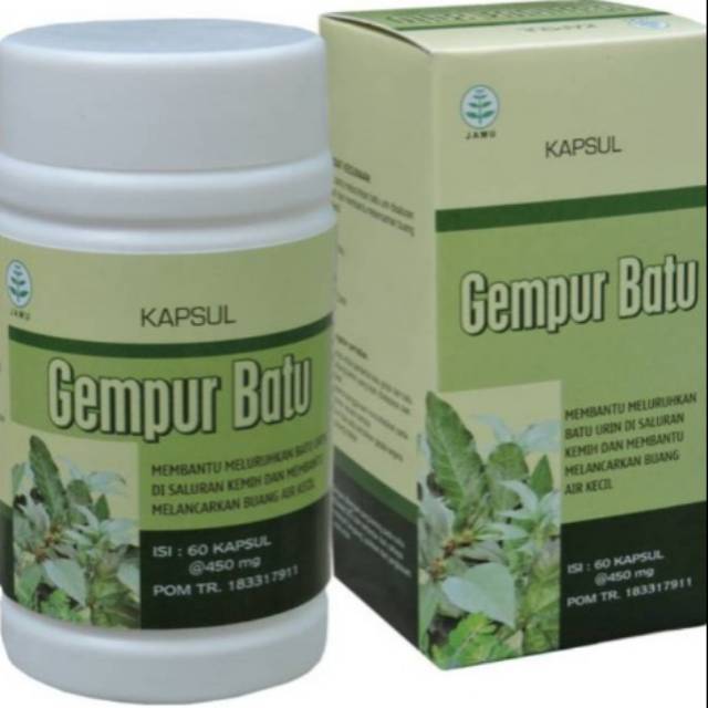 Jual Obat Herbal Ampuh Mengobati Batu Ginjal Meluruhkan Batu Urin