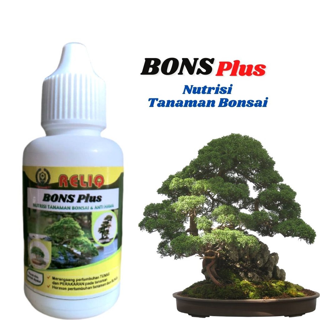 Jual Nutrisi Tanaman Bonsai Lantana Pupuk Hormon Bonsai Asem Jawa