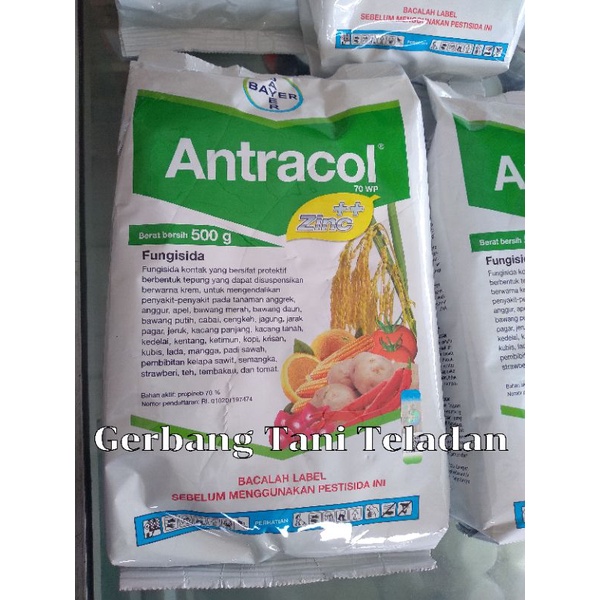 Jual FUNGISIDA ANTRACOL 500 Gr Antracol Fungisida 70 WP 500 Gram