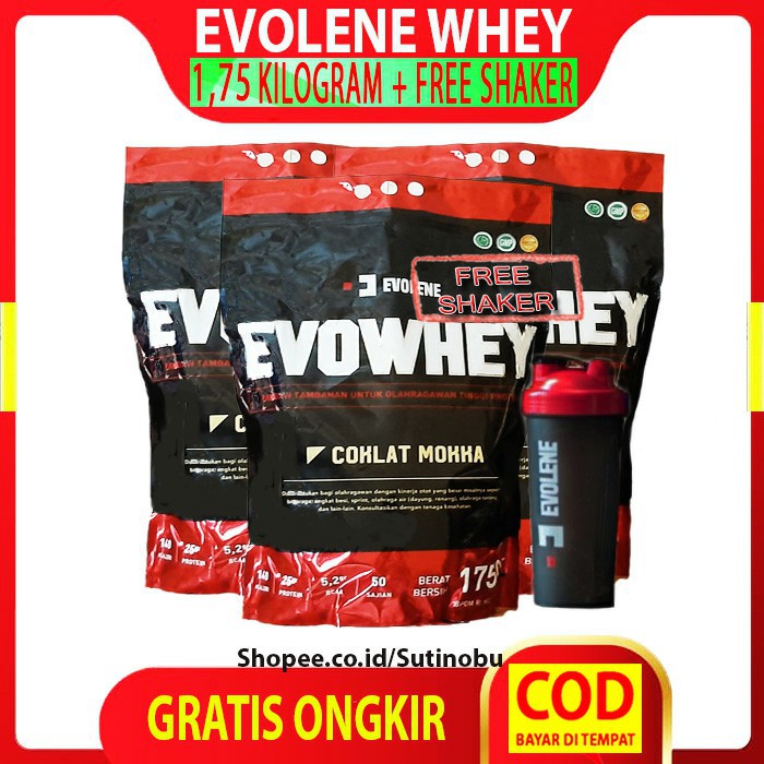 Jual Evolene Evo Whey Protein Rasa Coklat Moka 1750 Gr 50 Sachet