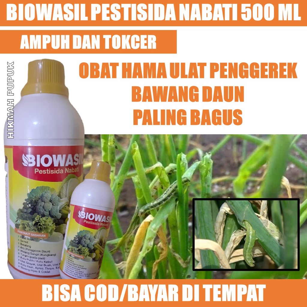 Jual PESTISIDA OBAT MEMBASMI ULAT BAWANG DAUN PALING AMPUH BIOWASIL