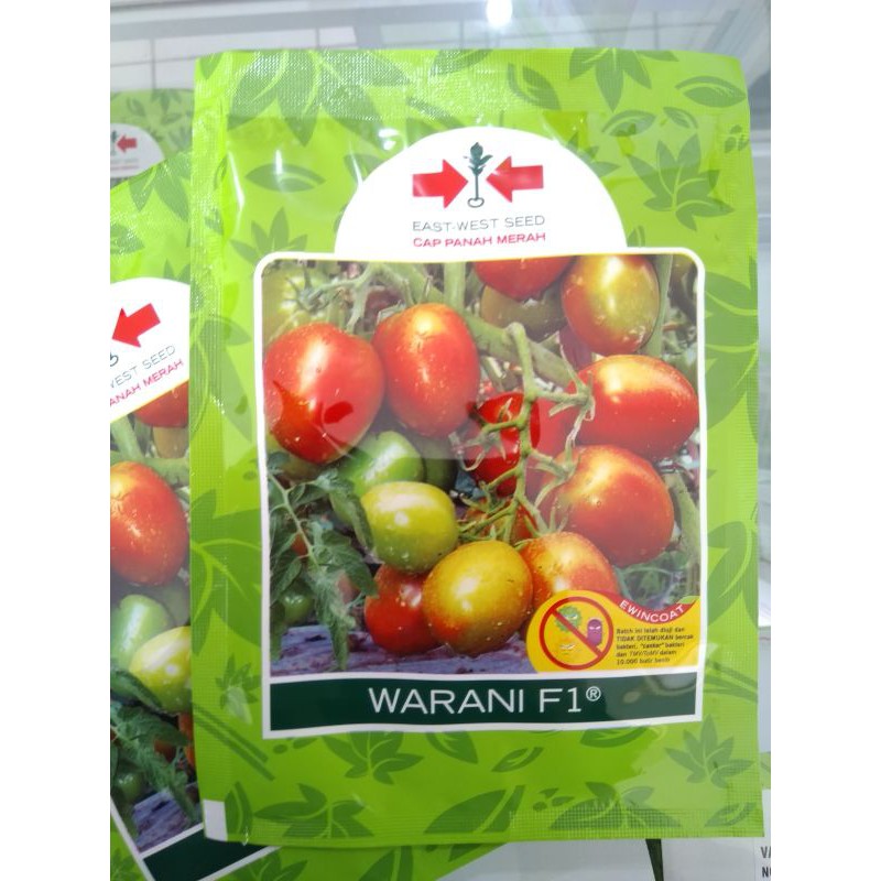 Jual Benih Tomat Besar Hibrida WARANI F1 1788butir Cap Panah Merah