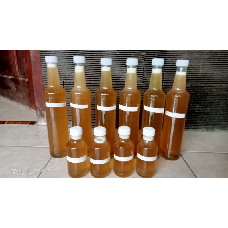 Jual Madu Multiflora Besar Ml Shopee Indonesia