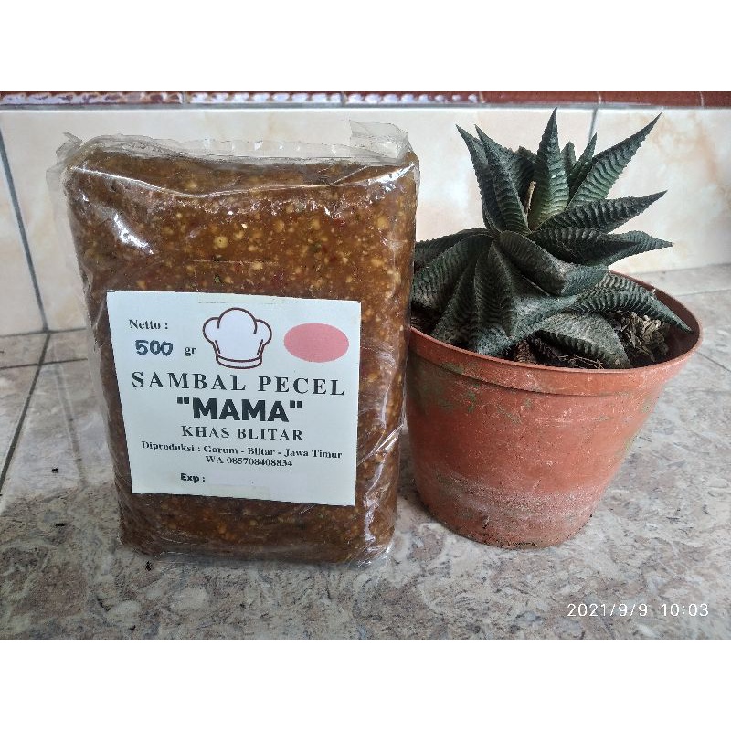 Jual Tm Gram Sambel Pecel Mama Khas Blitar Shopee Indonesia