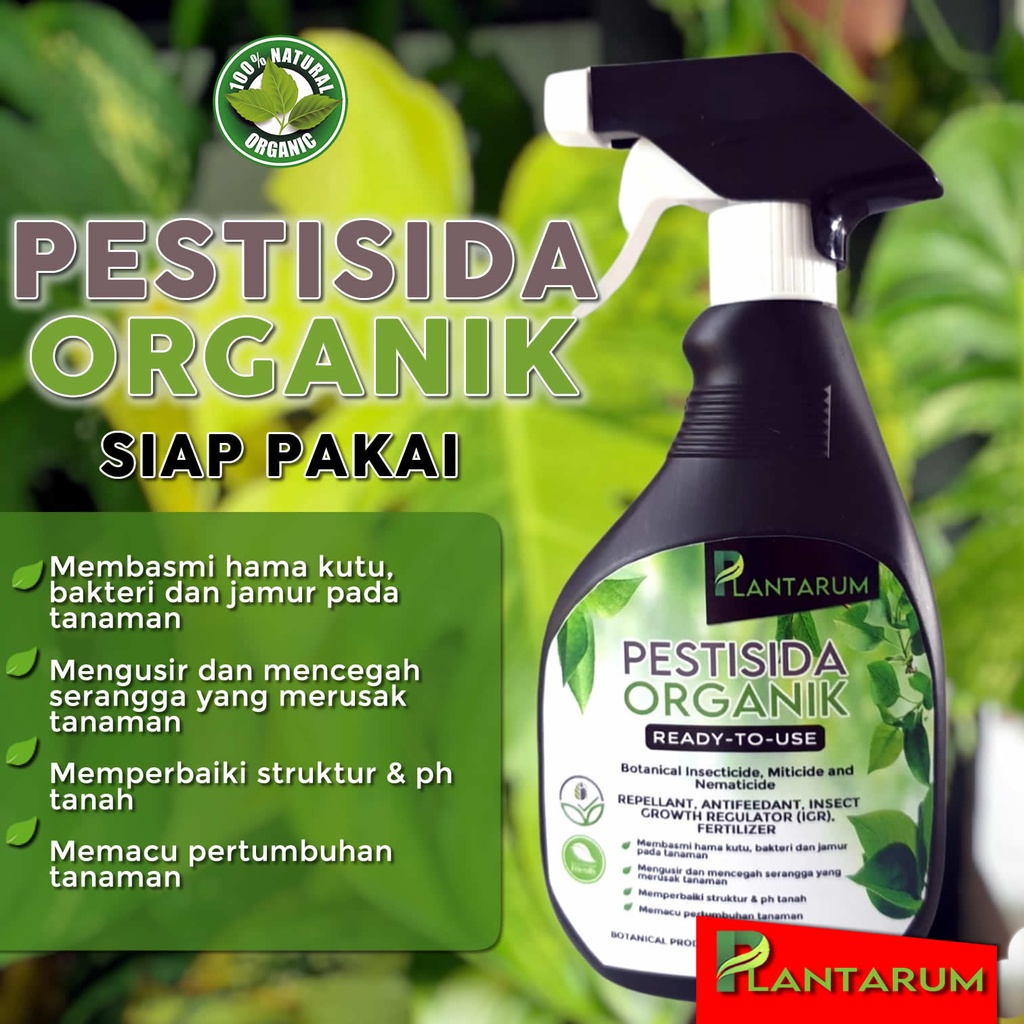 Jual Pestisida Insektisida Organik Siap Pakai Pembasmi Hama Kutu Putih