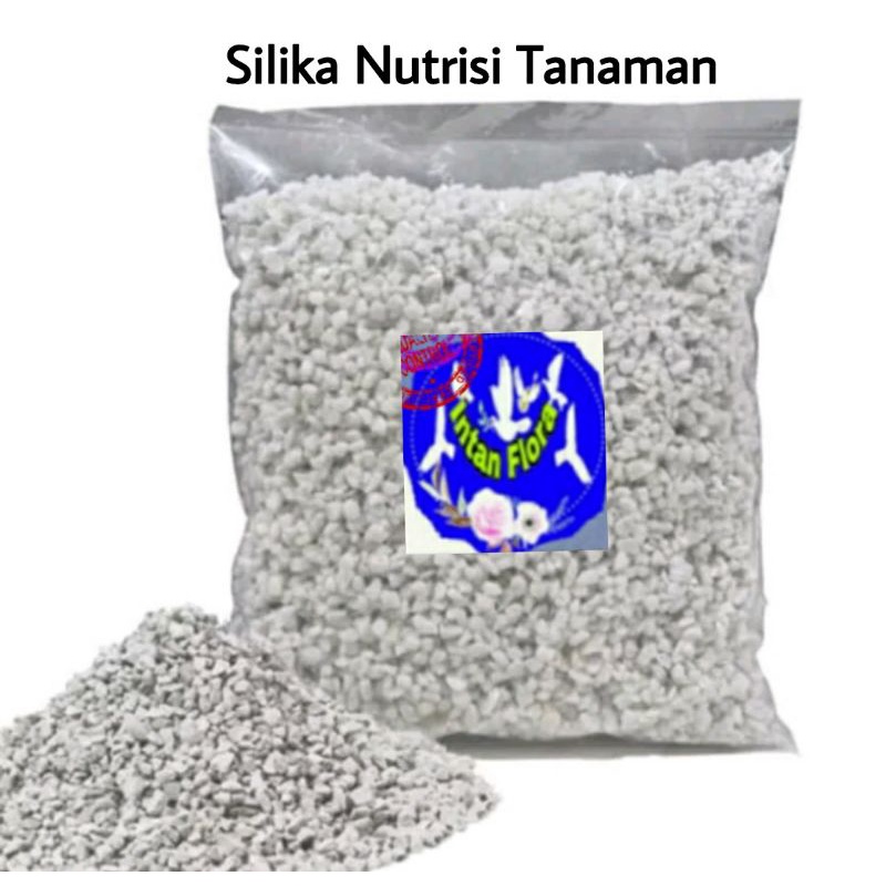 Jual Silika Nutrisi Tanaman Hias Terbaik Pcs Shopee Indonesia