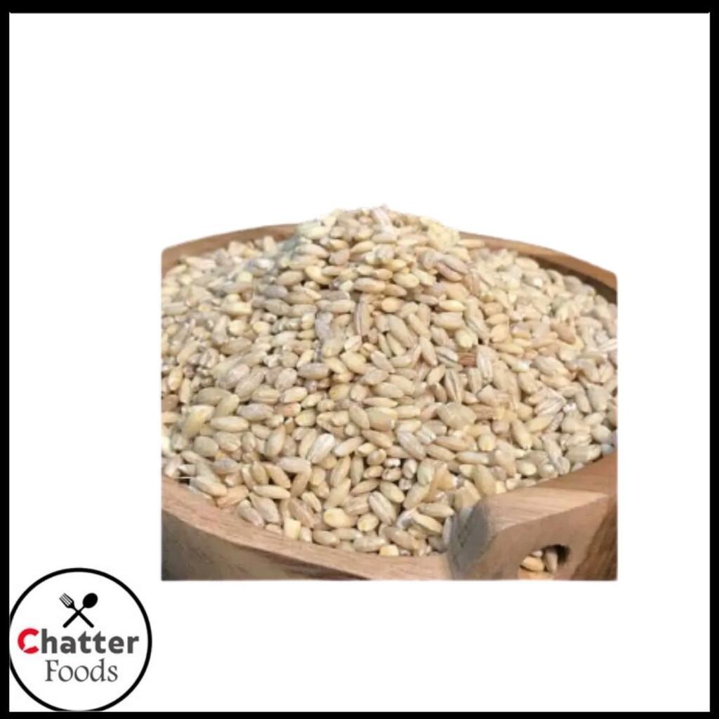 Jual Barley Biji Jali Jali Kg Jali Jali Shopee Indonesia