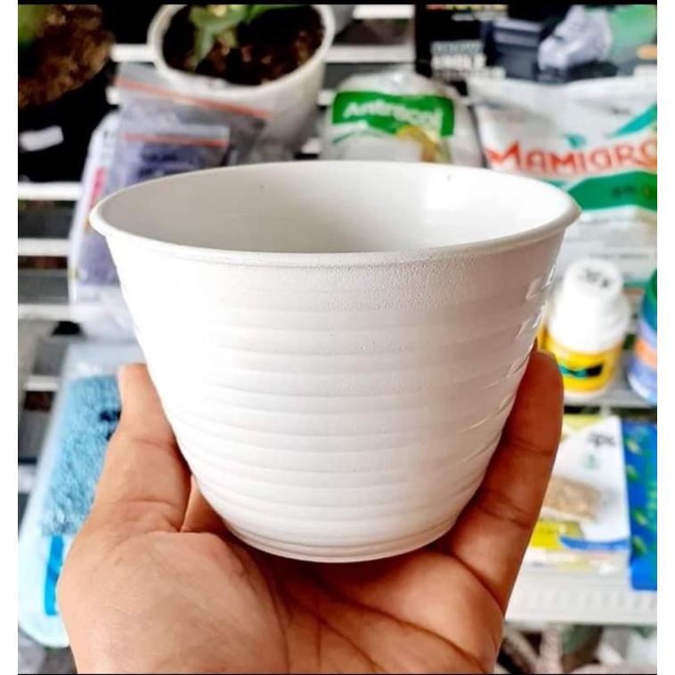 Jual Pot Model Tawon Mdn Putih Diameter Cm Shopee Indonesia