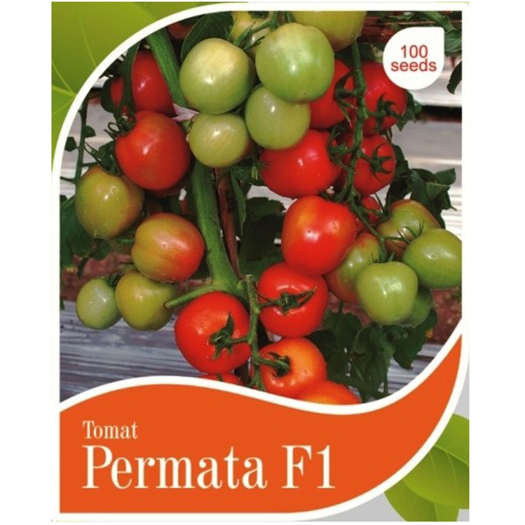 Jual Benih Tomat Hibrida Permata F1 Isi 100 Benih Cap Panah Merah