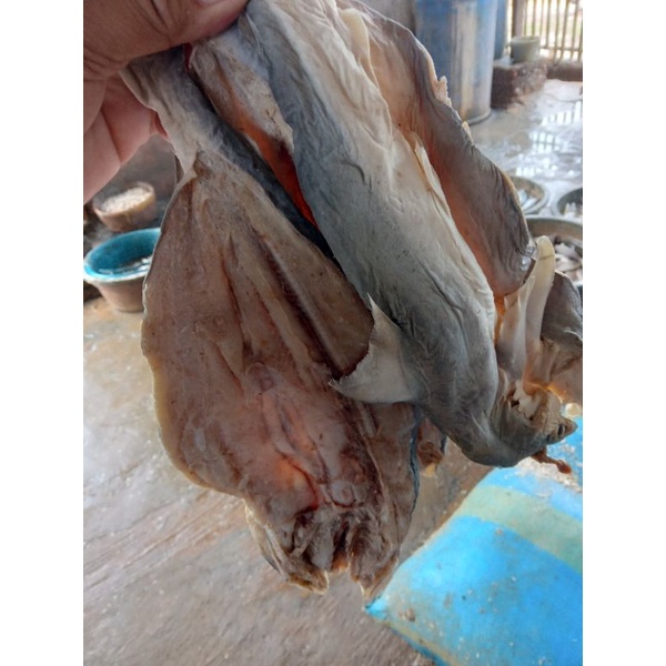 Jual Ikan Asin Cucut Utuh 1kg Shopee Indonesia