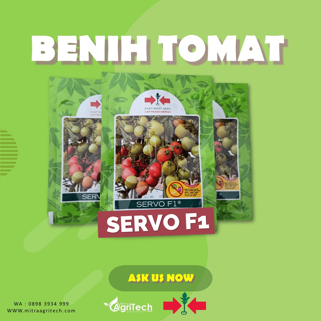 Jual Benih Tomat Servo F Isi Biji Cap Panah Merah Shopee