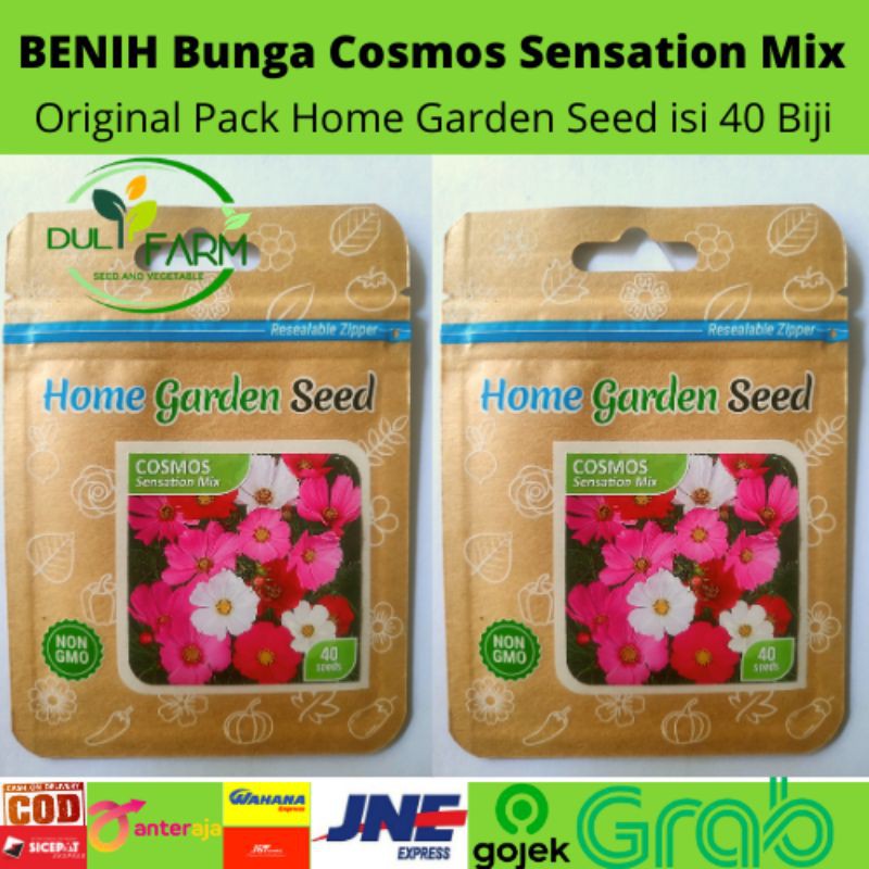 Jual Benih Bunga Cosmos Sensation Mix Home Garden Seed 40 Biji Shopee