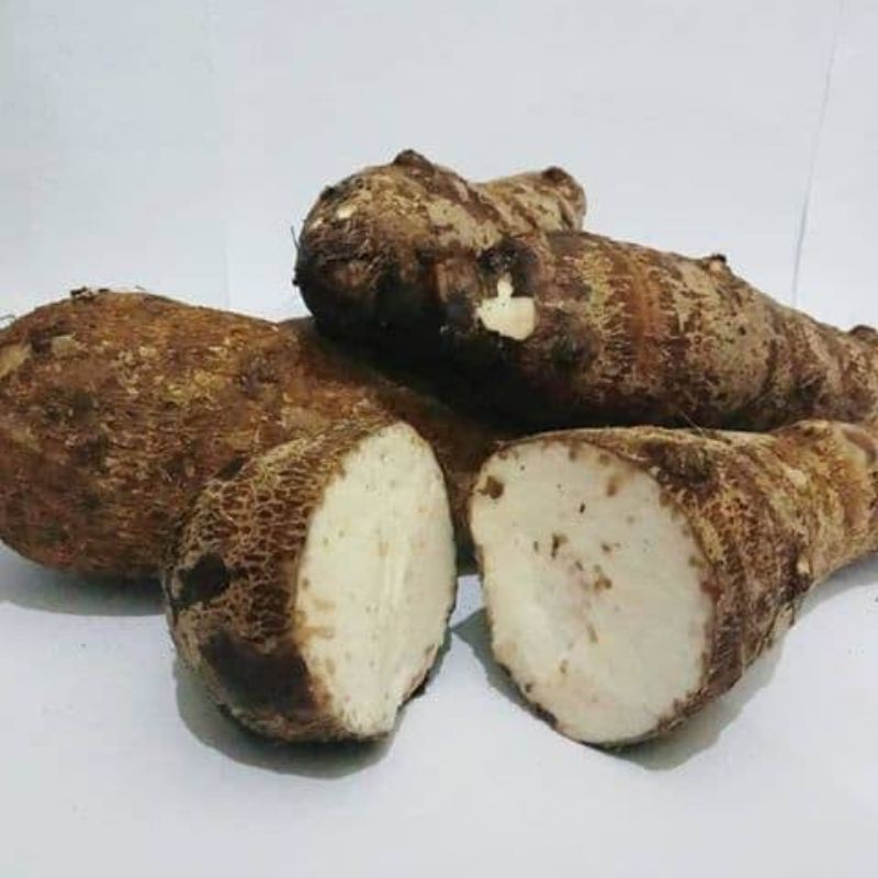 Jual Talas Kimpul 1 Kg Shopee Indonesia