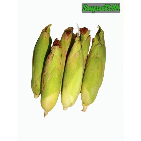 Jual Sayurdm Jagung Manis Sweet Corn Satuan Shopee Indonesia