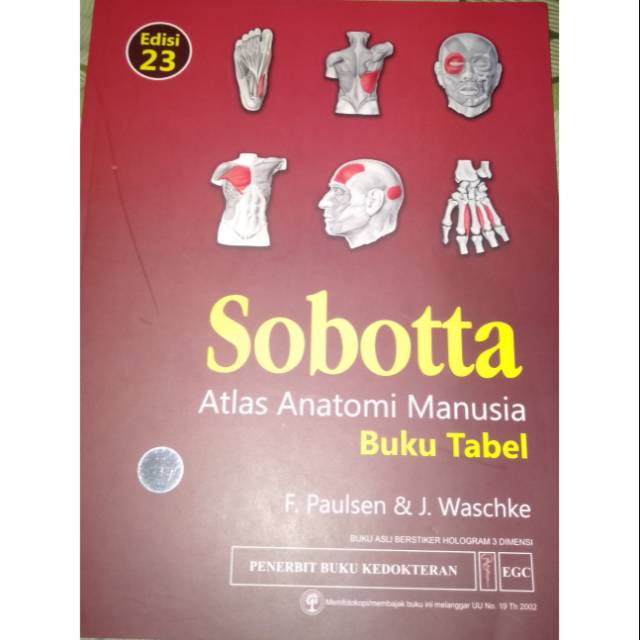 Jual Atlas Anatomi Manusia Sobotta Edisi Buku Tabel Original Baru