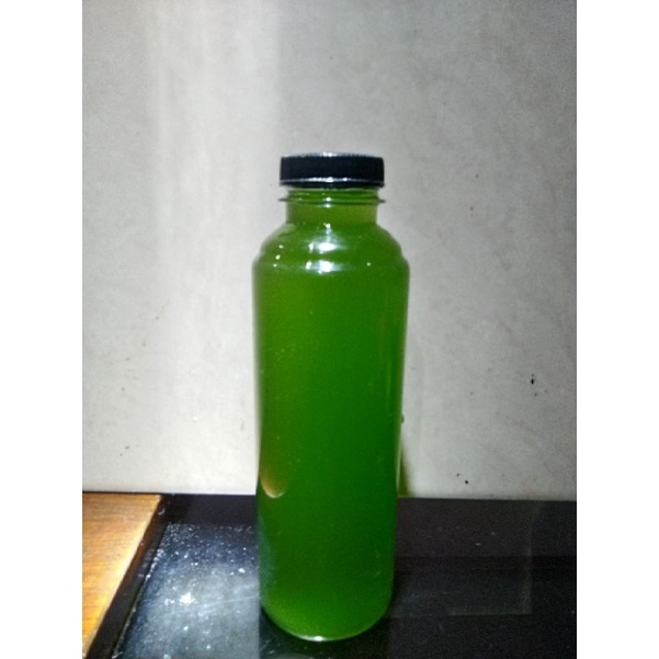 Jual Phytoplankton Nannochloropsis Ml Shopee Indonesia