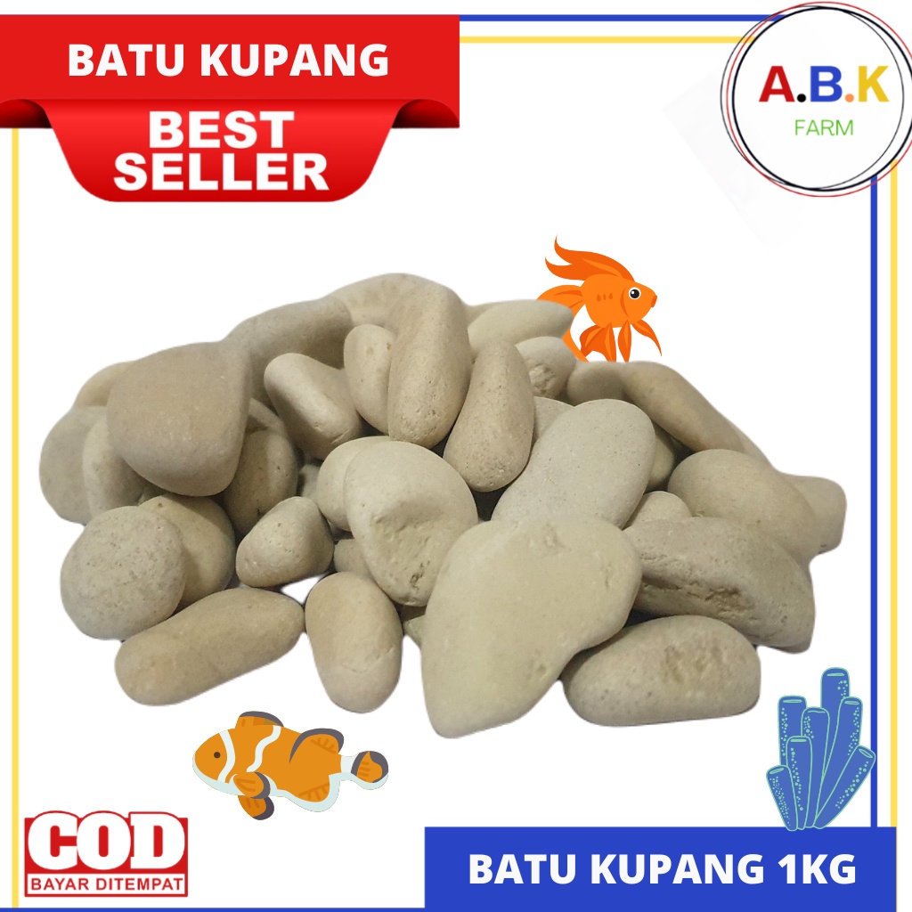 Jual Batu Alam Koral Tabur Kerikil Hias Putih Kupang 1 KG Shopee