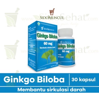 Jual Ginkgo Biloba Sidomuncul Shopee Indonesia