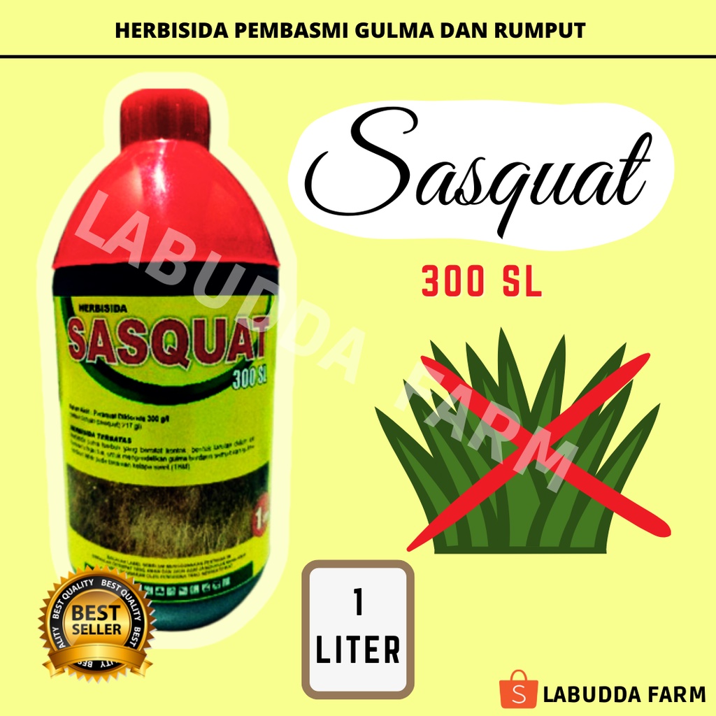 Jual Herbisida Sasquat Sl Herbisida Sistemik Herbisida Rumput