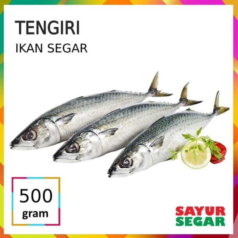 Jual Ikan Tenggiri Segar Fresh Termurah 500 Gram Steak Indonesia Shopee