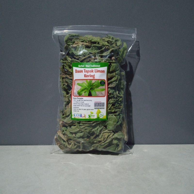 Jual Daun Tapak Liman Kering Gr Shopee Indonesia