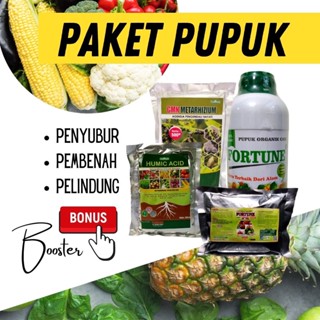 Jual Paket Pupuk Budidaya Cabai Booster Asam Humat Metrahizium Pupuk