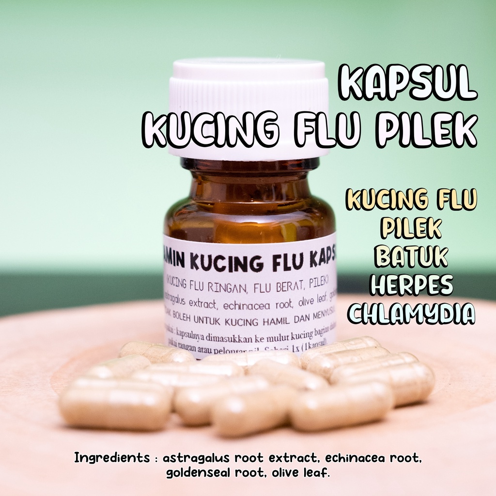 Jual Vitamin Kapsul Kucing Flu Berat Pilek Demam Batuk Shopee