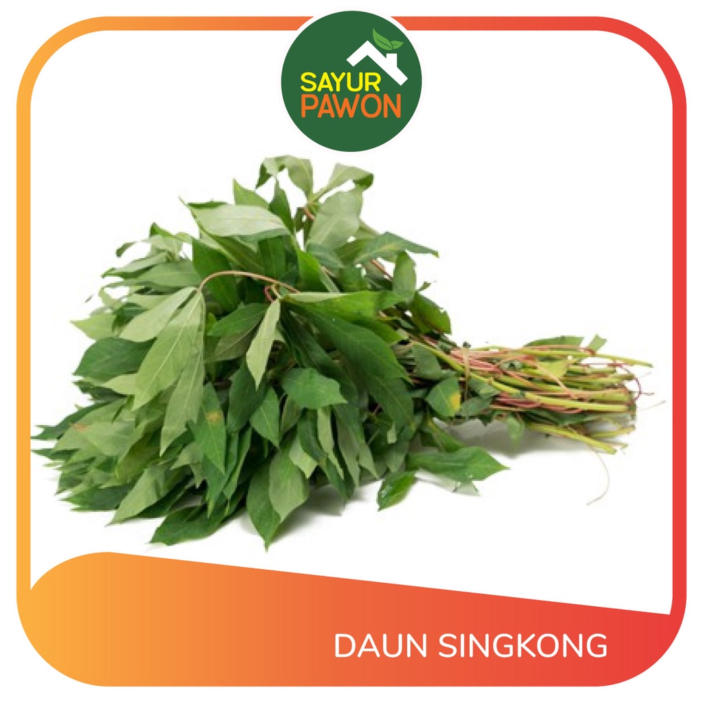 Jual Daun Singkong Segar Ikat Shopee Indonesia