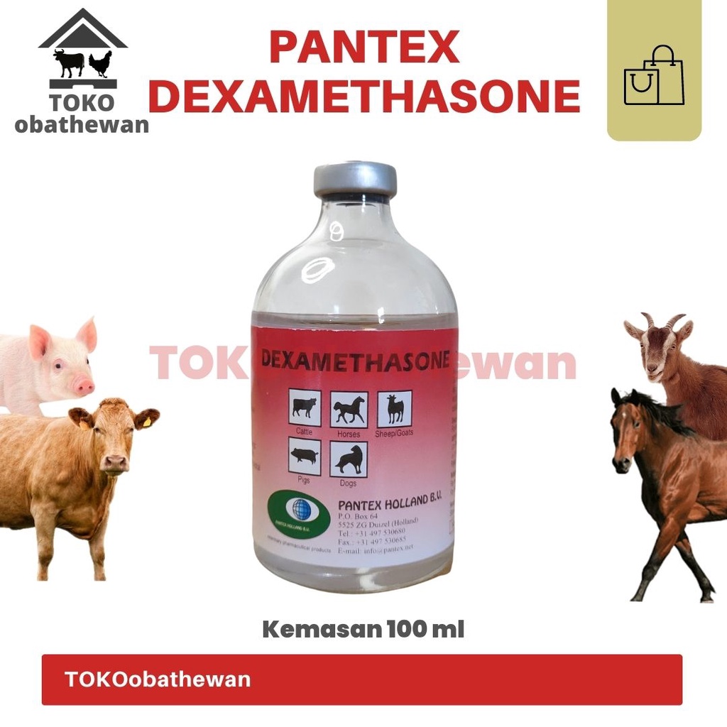 Harga Dexamethasone Terbaru Maret Biggo Indonesia