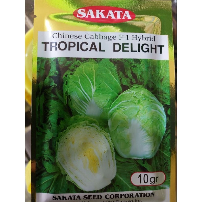 Jual Benih Kubis Cina Sawi Putih Slobor Hibrida Tropical Delight 10gr