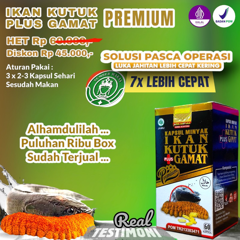 Jual REAL TESTIMONI Minyak Ikan Gabus Kutuk Plus Gamat AS ZAHRA BPOM