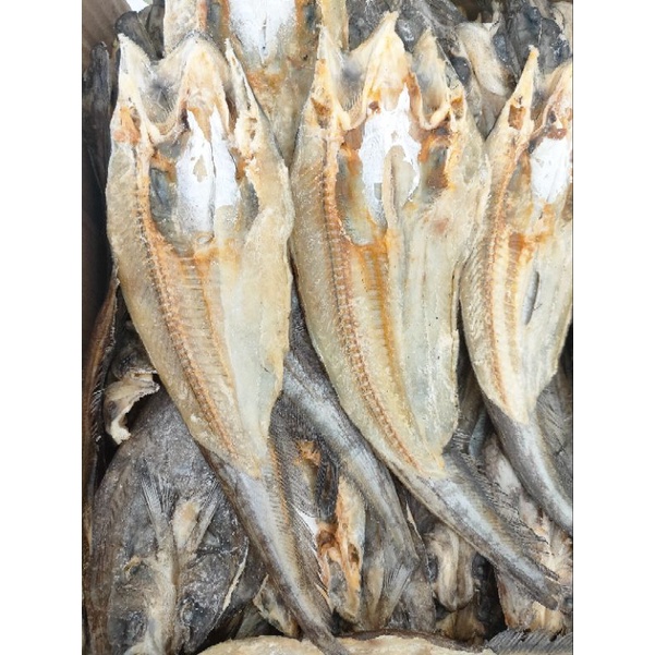 Jual Ikan Asin Lais Gr Shopee Indonesia