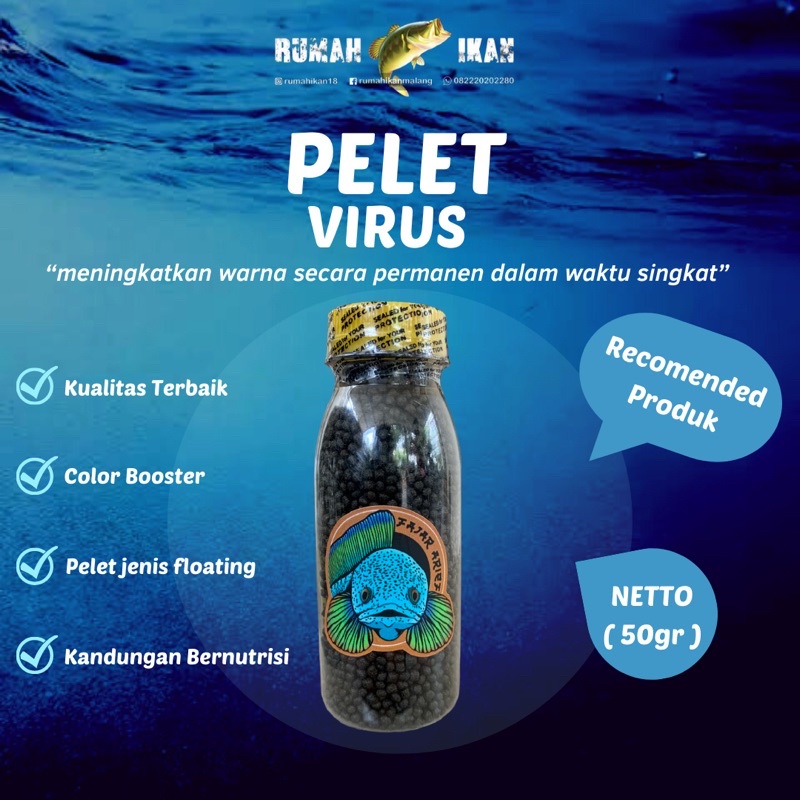 Jual Pelet Virus Original Bang Fish X Fajar Arief Untuk Channa Auranti